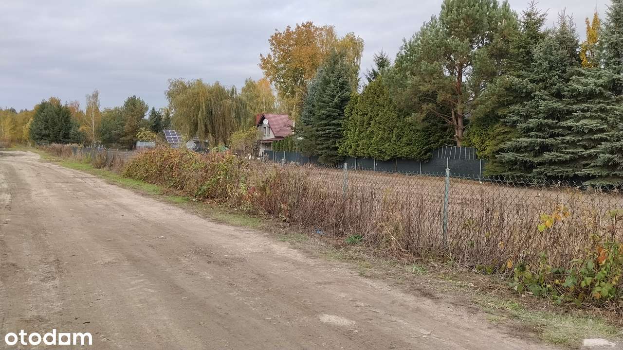 Działka 3000m2 z możliwością podziału - Pełny obrazek: 5/16