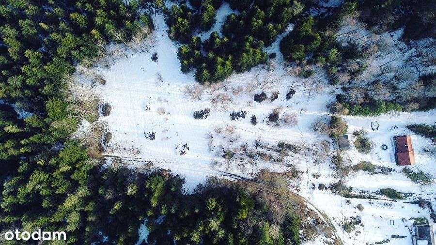 Działka z WZ | 0,92 ha | Malownicza przyroda - Pełny obrazek: 4/20