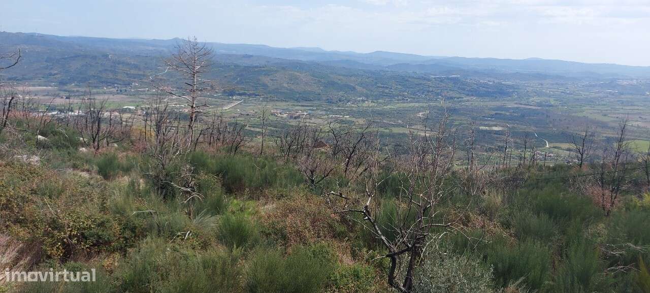 Venda Judicial Casa em ruínas V1 Corujeira Gonçalo Guarda - Grande imagem: 4/33