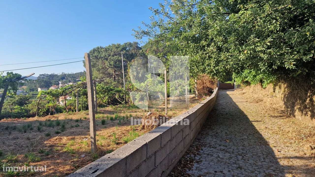 Terreno - potencial de investimento - Astromil - Paredes-6