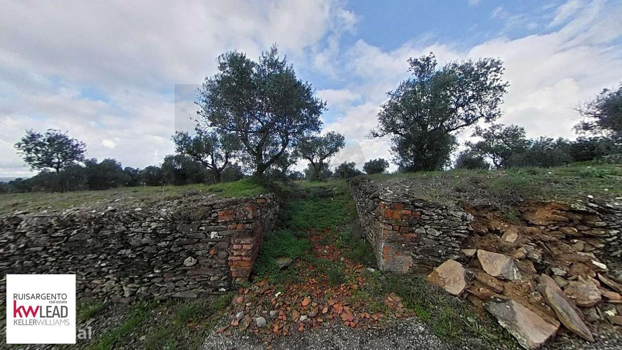 Alojamento Rustico com 6000m2 de Terreno em Salavessa Nisa - Grande imagem: 4/33