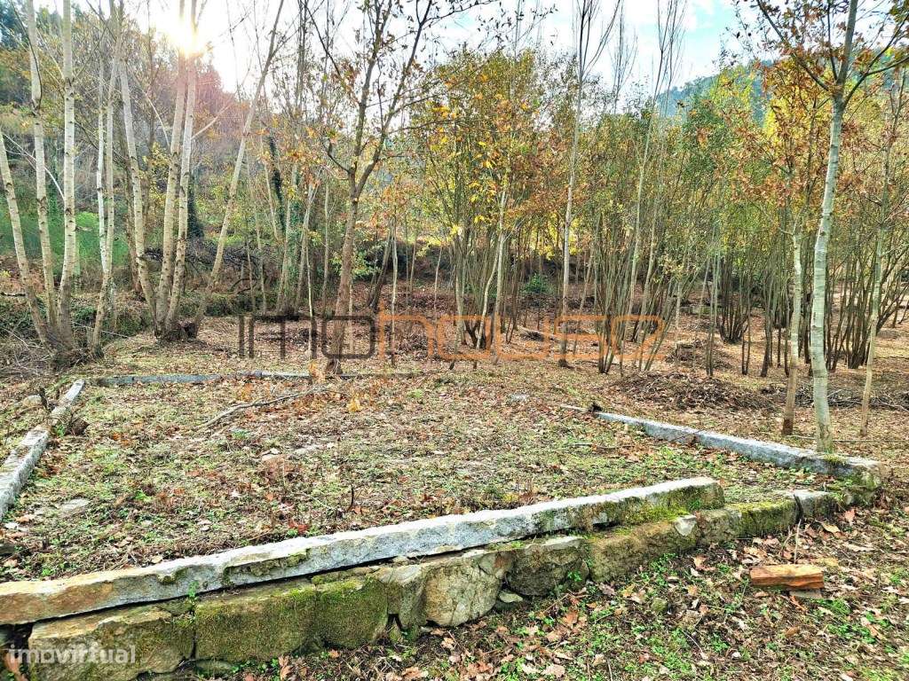 Quinta com Ribeiro e casa para restaurar - Terreno de cultivo-17