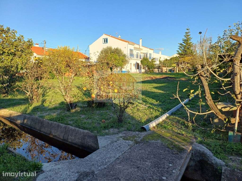 Excelente oportunidade - Quinta com 3 habitações em Grândola - Grande imagem: 4/27