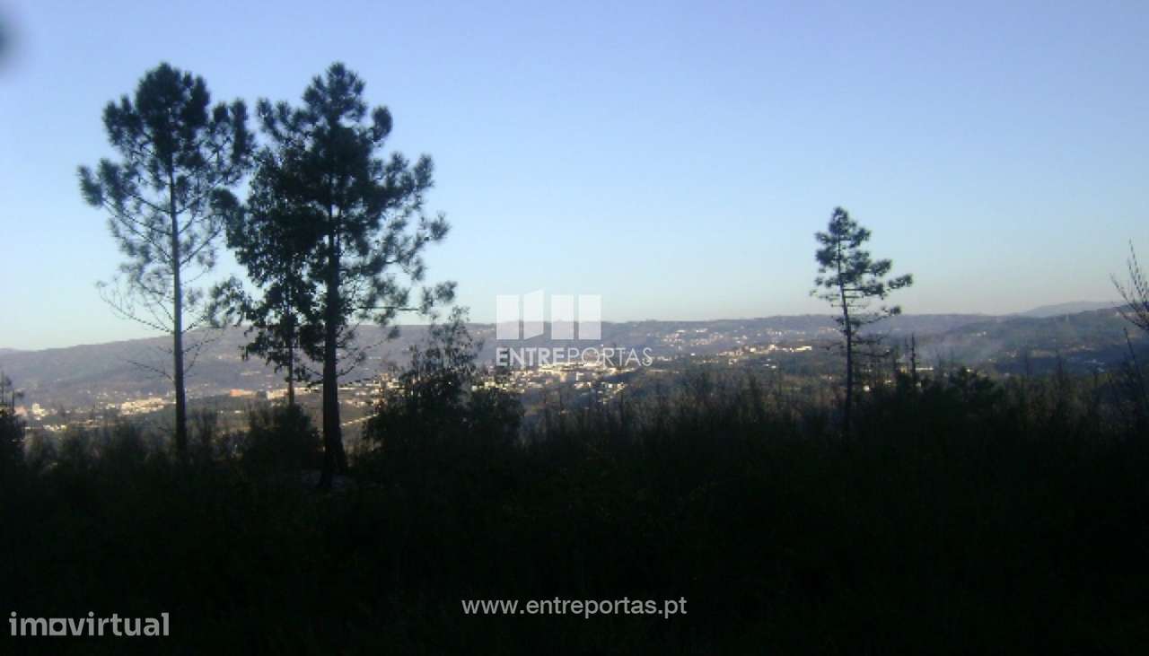 Venda Terreno, Maureles, Marco de Canaveses - Grande imagem: 5/5