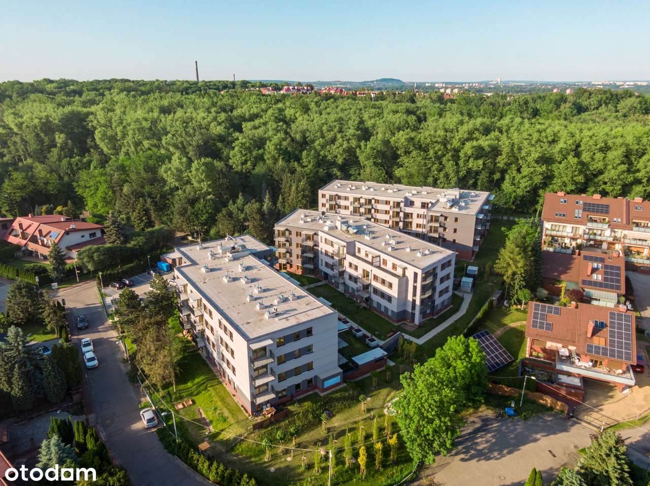 Daszyńskiego Park | C39 - Pełny obrazek: 3/9