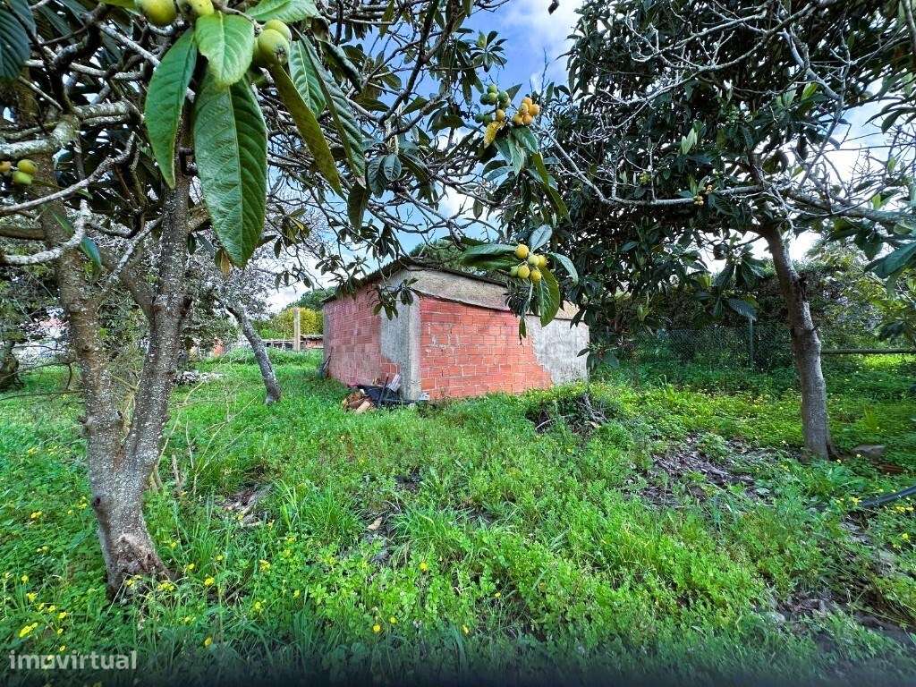 Monte Alentejano com uma moradia + Anexo, Cabeça Da Cabra, Perto de...-23
