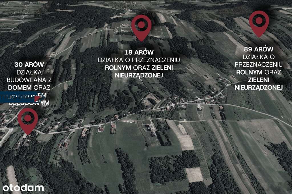 Dom po remoncie + dom do adaptacji + grunty 1,07ha - Pełny obrazek: 2/16