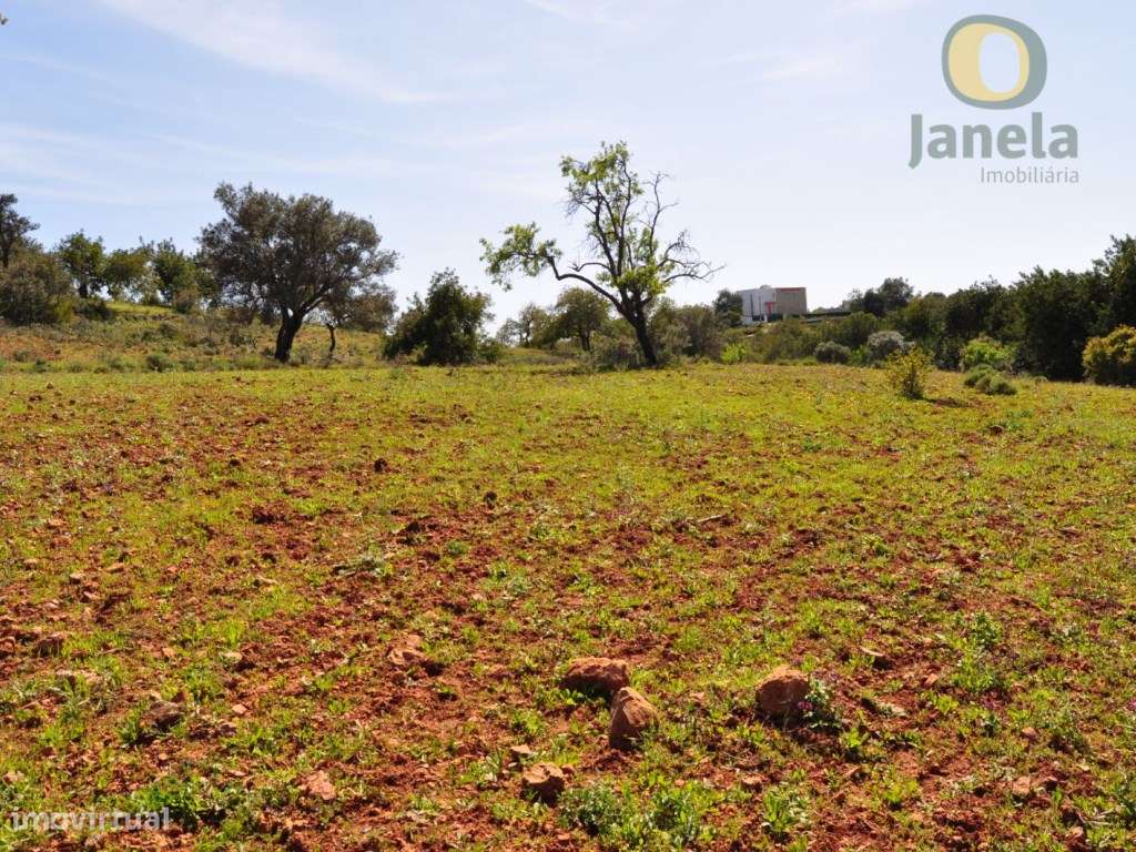 Terreno Rústico Venda Loulé - Grande imagem: 2/3