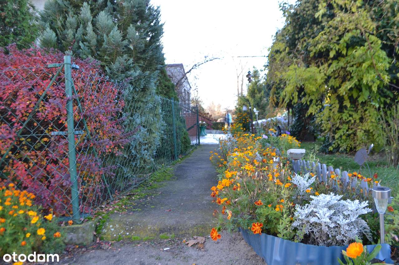 Dom w zabudowie bliźniaczej Wierzowice Wielkie powiat  górowski-4