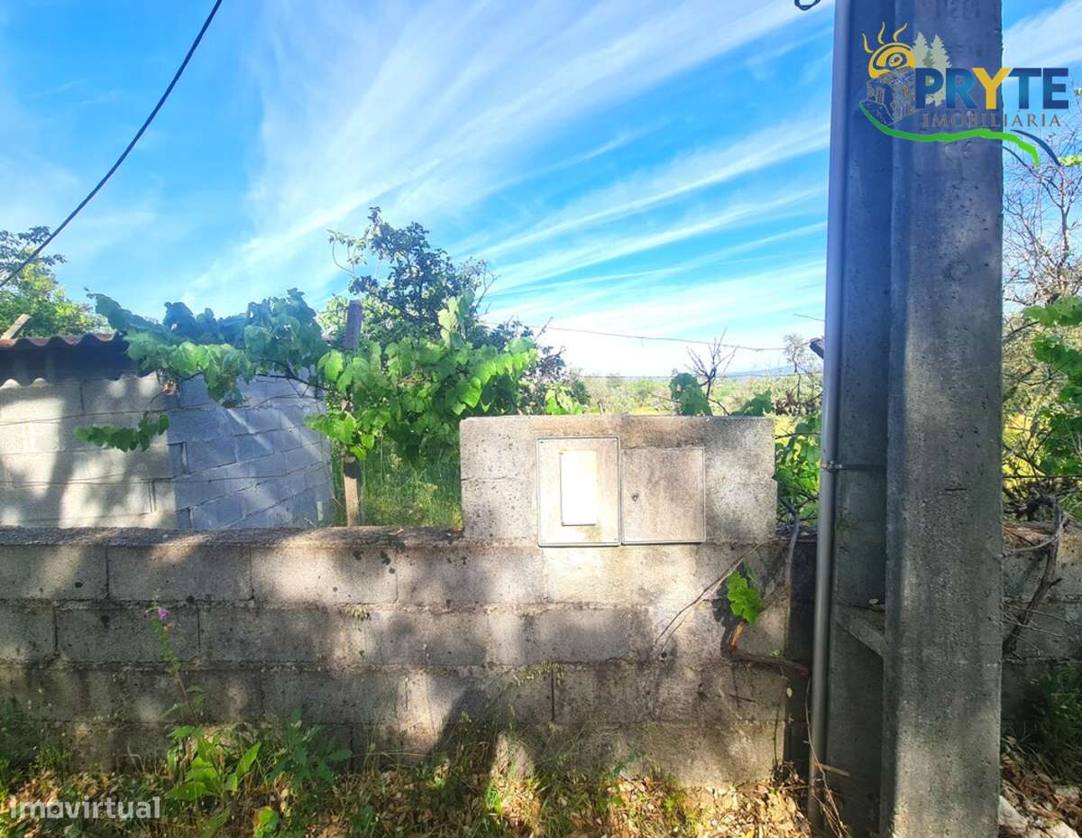 Quintinha agrícola situada Casalinho/Tapada-3