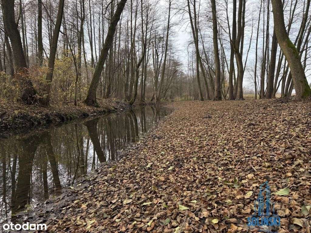 Bezkonkurencyjna działka z dostępem do rzeczki-4