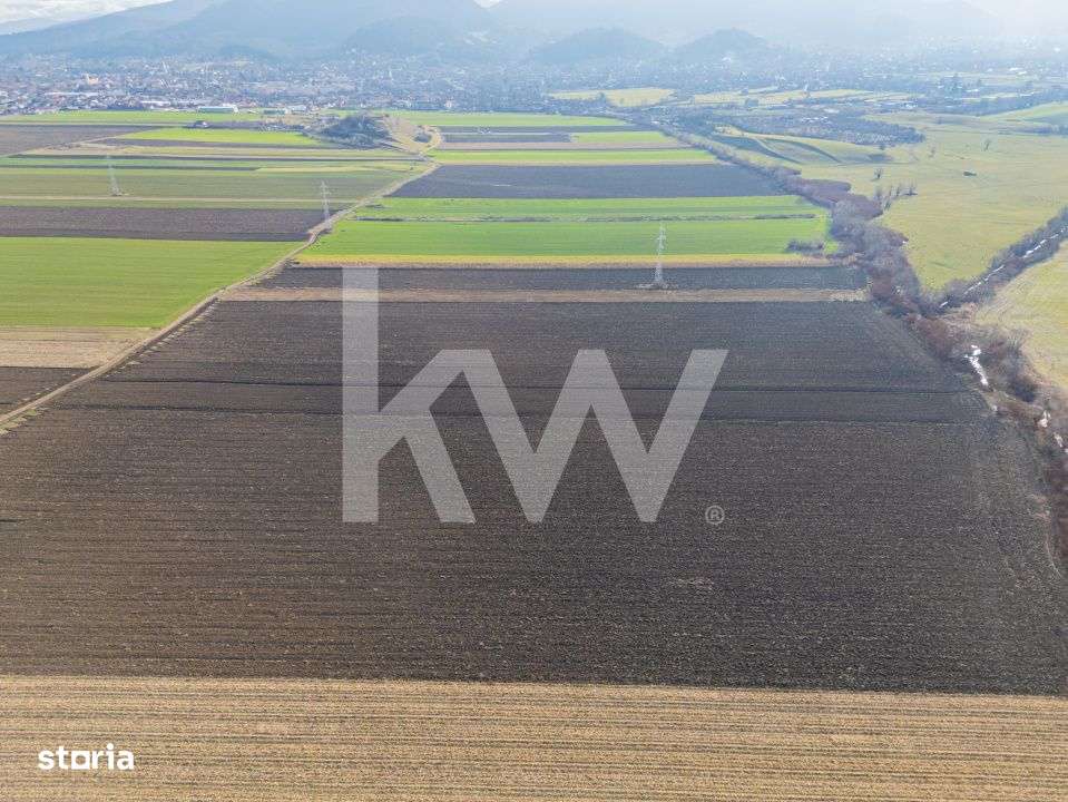 Teren extravilan in Sacele-3500mp, Comision cumparator 0%-5