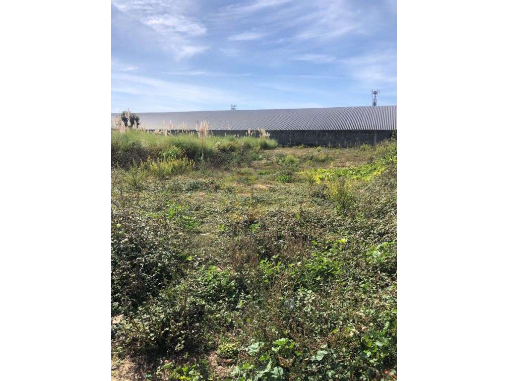 Lote de Terreno com 485 m2 Gulpilhares-5