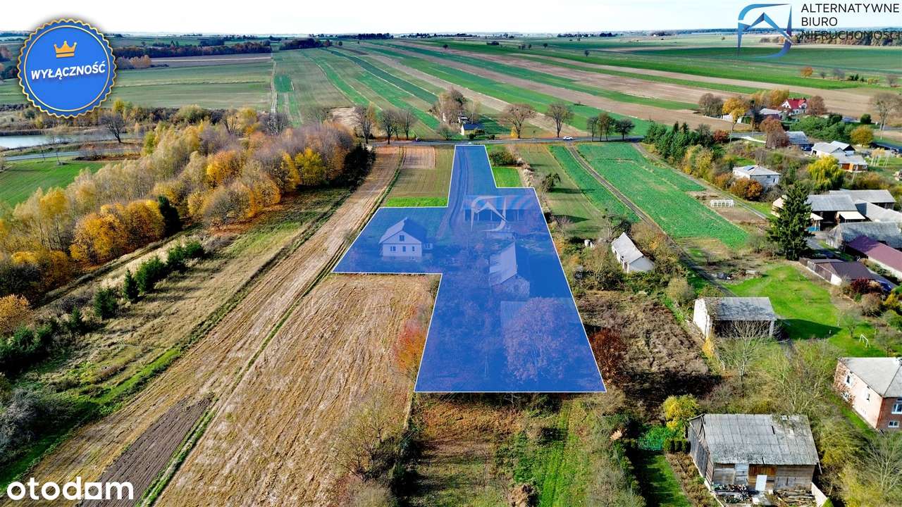 Nietuzinkowe siedlisko - 4km od Piask - Pełny obrazek: 5/15