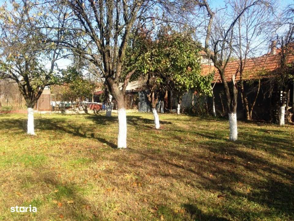 Comision 0% -Teren de constructii de vanzare – Timisoara, zona Ghiro-3