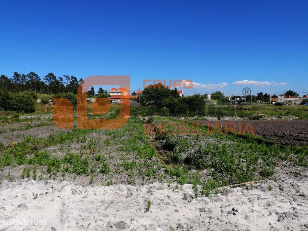 Hortas das Águas Santas! - Grande imagem: 5/6