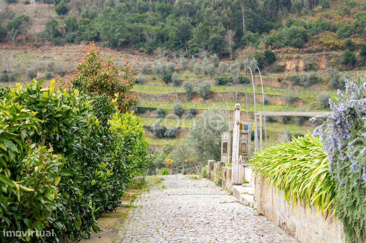 Quinta no Douro - Douro Farm - Douro-TAL-4