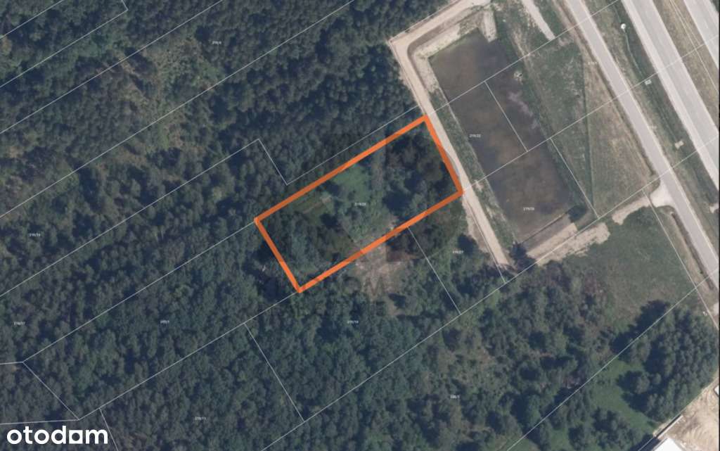 Działka 2862m2 przy S17- Wola Ducka (gm. Wiązowna) - Pełny obrazek: 2/10