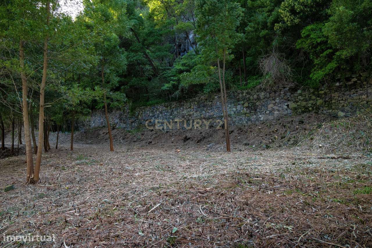 Lote para Construção com Vista Mar na Caloura – Lote Nº3-7