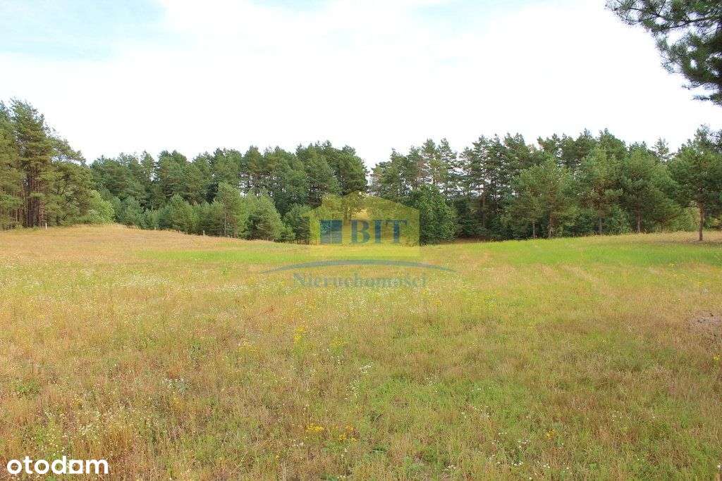 Działka 8,58 ha z widokiem panoramicznym-19