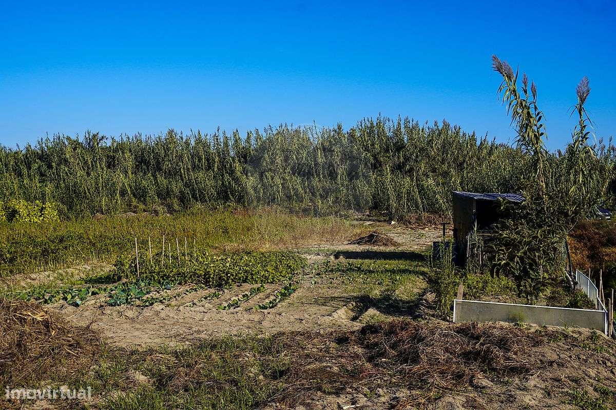 Terreno  para venda - Grande imagem: 4/4