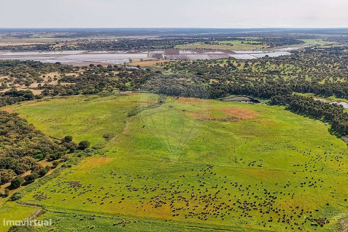 Industrial  para venda-2