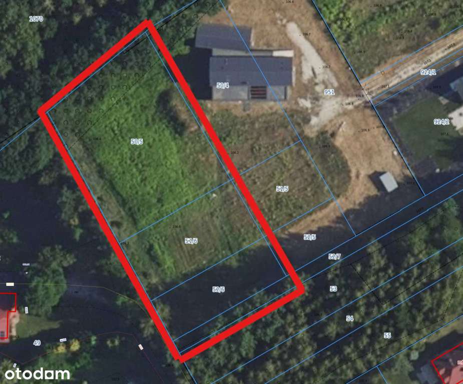 Sąsiedztwo lasu | Cisza | Blisko Warszawy-1