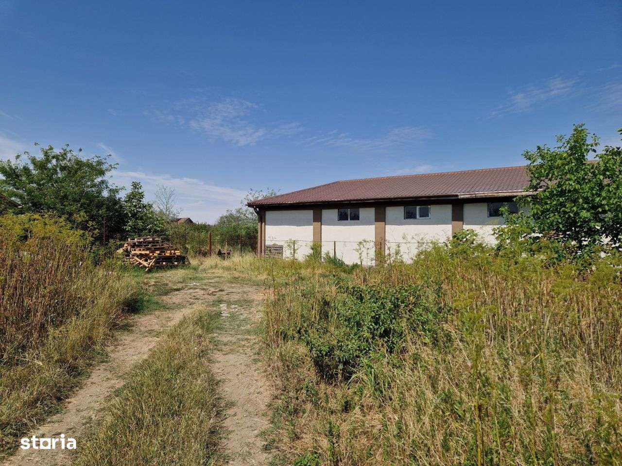 Domnesti - Ciutaci, vanzare 4 loturi de teren intravilan - Imagine principală: 4/15