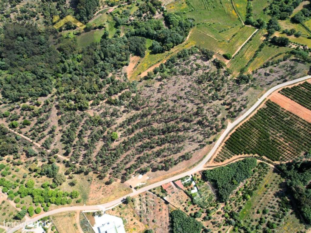 O Seu Próximo Grande Projeto Começa Aqui: 7.6 Hectares na Fatela co...-3