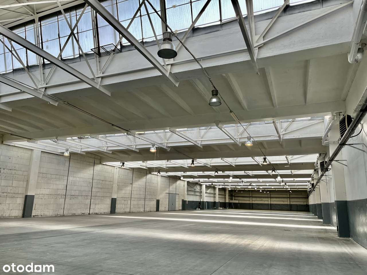 Hala magazynowo produkcyjna 6110 - PILNIE!!! - Pełny obrazek: 4/17