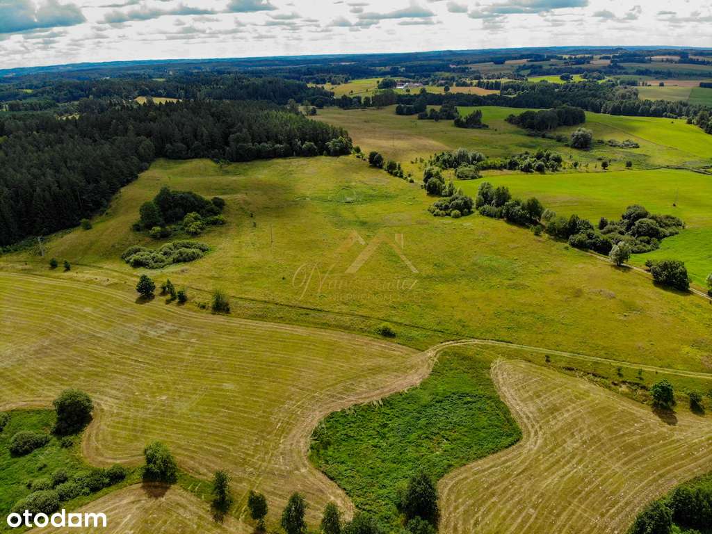 7,5 ha | Jagiele, Gm Banie Mazurskie - Pełny obrazek: 5/13