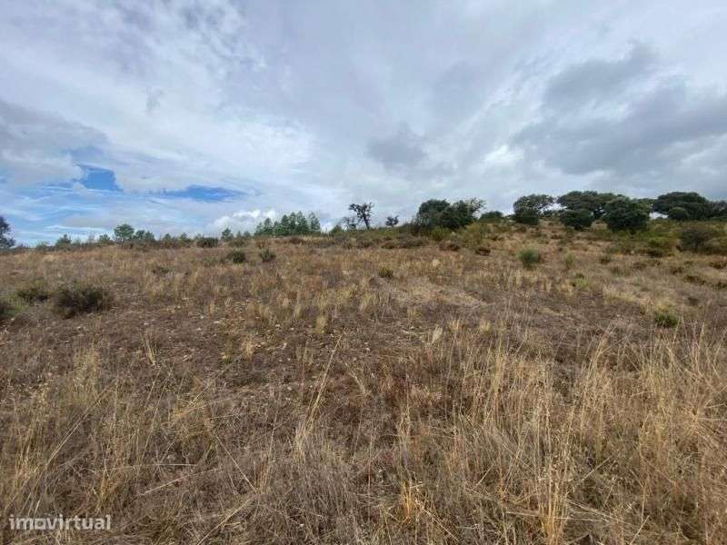 Quinta - Grande imagem: 4/16