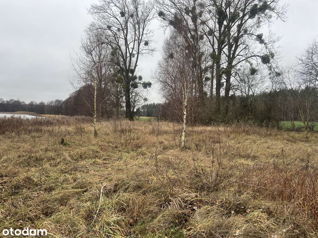 Działka z linią brzegową - Pełny obrazek: 4/5