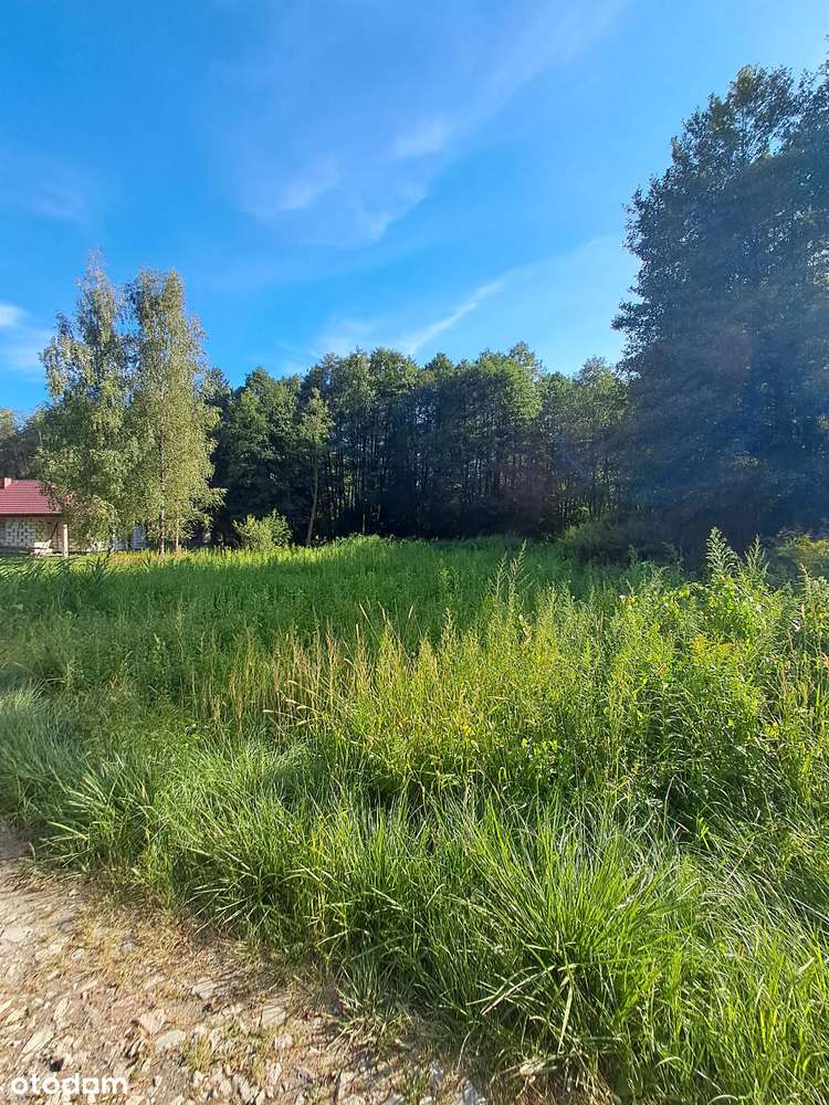 Działka budowlana 1200 m 2 w Pęclinie, gm. Wiązowna, woj. mazowieckie-1