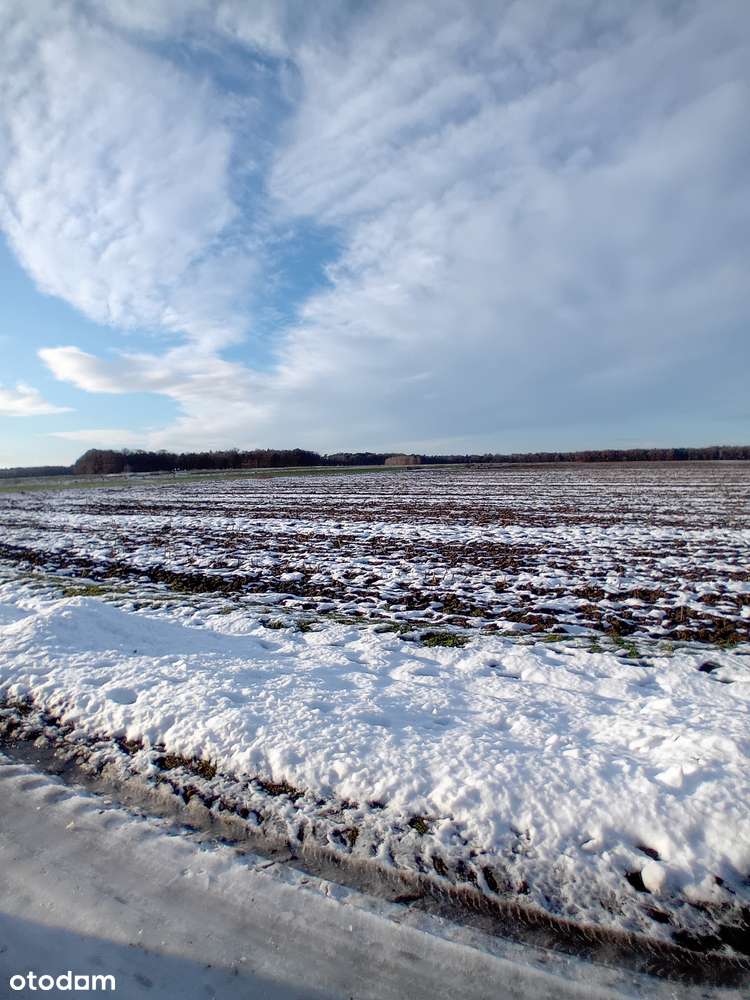 Działka, 5 500 m², Toszek-0