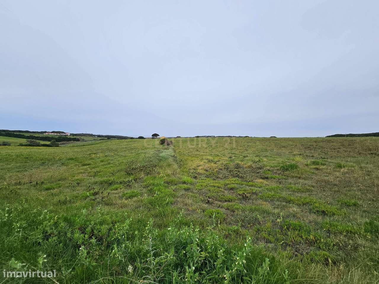 Terreno Rústico | 14160m2 | Sintra | Fontanelas | Av. Nossa Senhora da-22