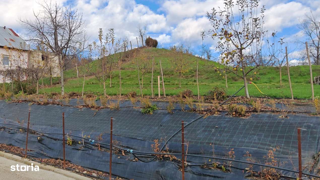 Teren intravilan cu casa veche – Mioveni, zona Faget-2