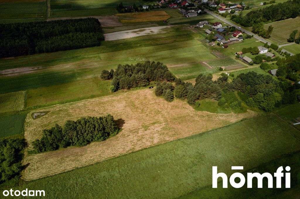 Duża działka Kosobudy Wz - Pełny obrazek: 4/16