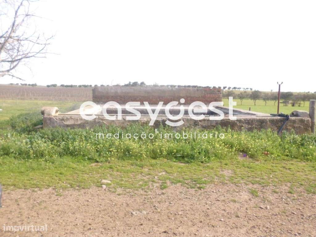 Terreno rústico em Cuba no perímetro de rega do Alqueva - Grande imagem: 5/7