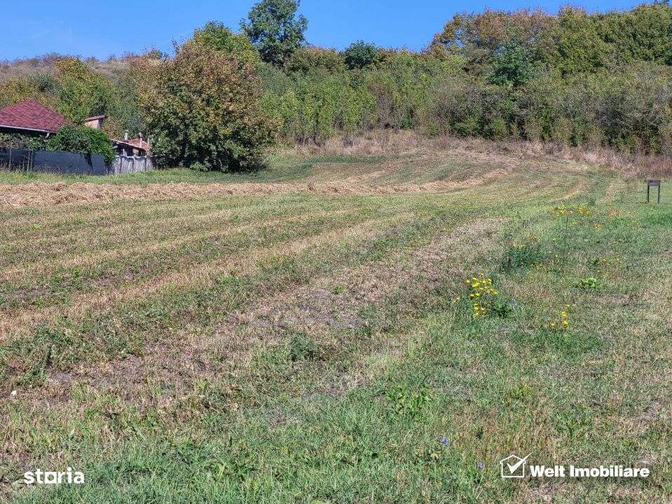 Teren de vanzare – Popesti Vale, 3600 mp - Imagine principală: 1/6