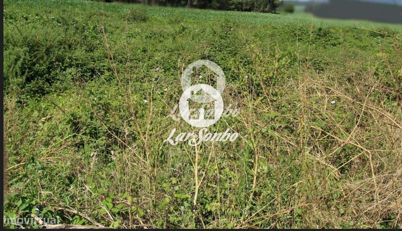 Terreno em Barcelos - Grande imagem: 5/25