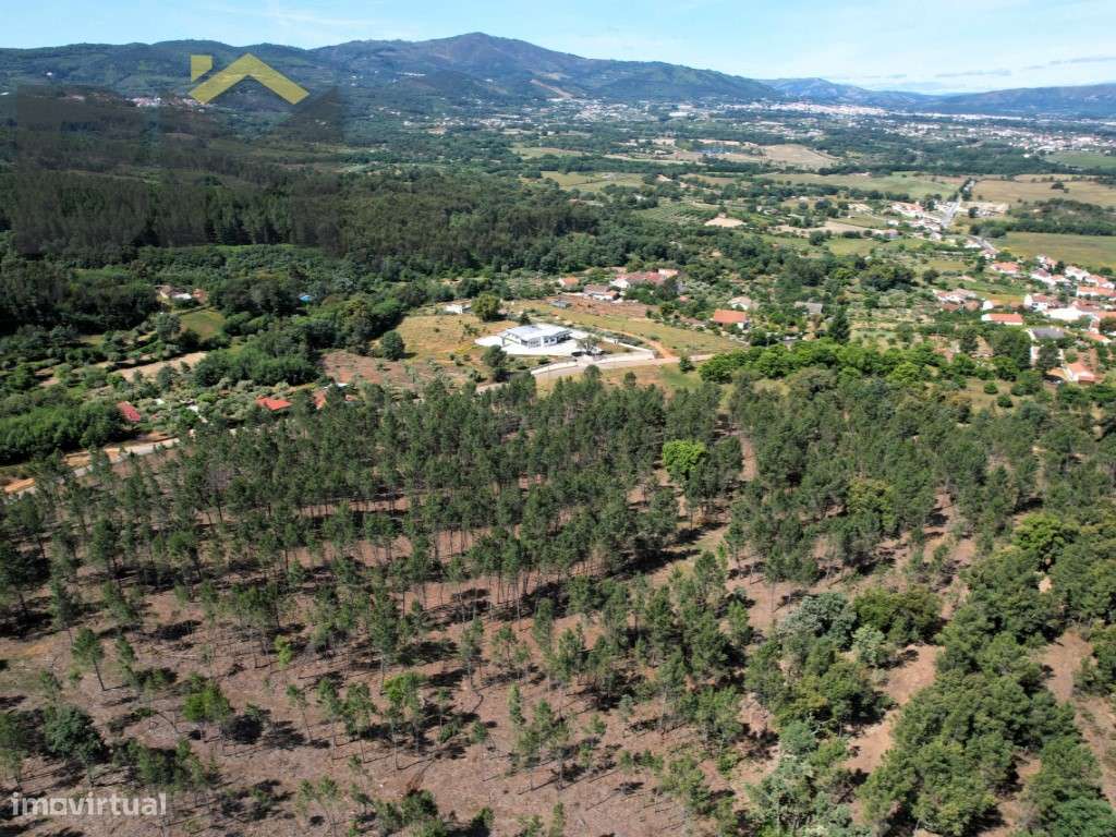 O Seu Próximo Grande Projeto Começa Aqui: 7.6 Hectares na Fatela co...-4