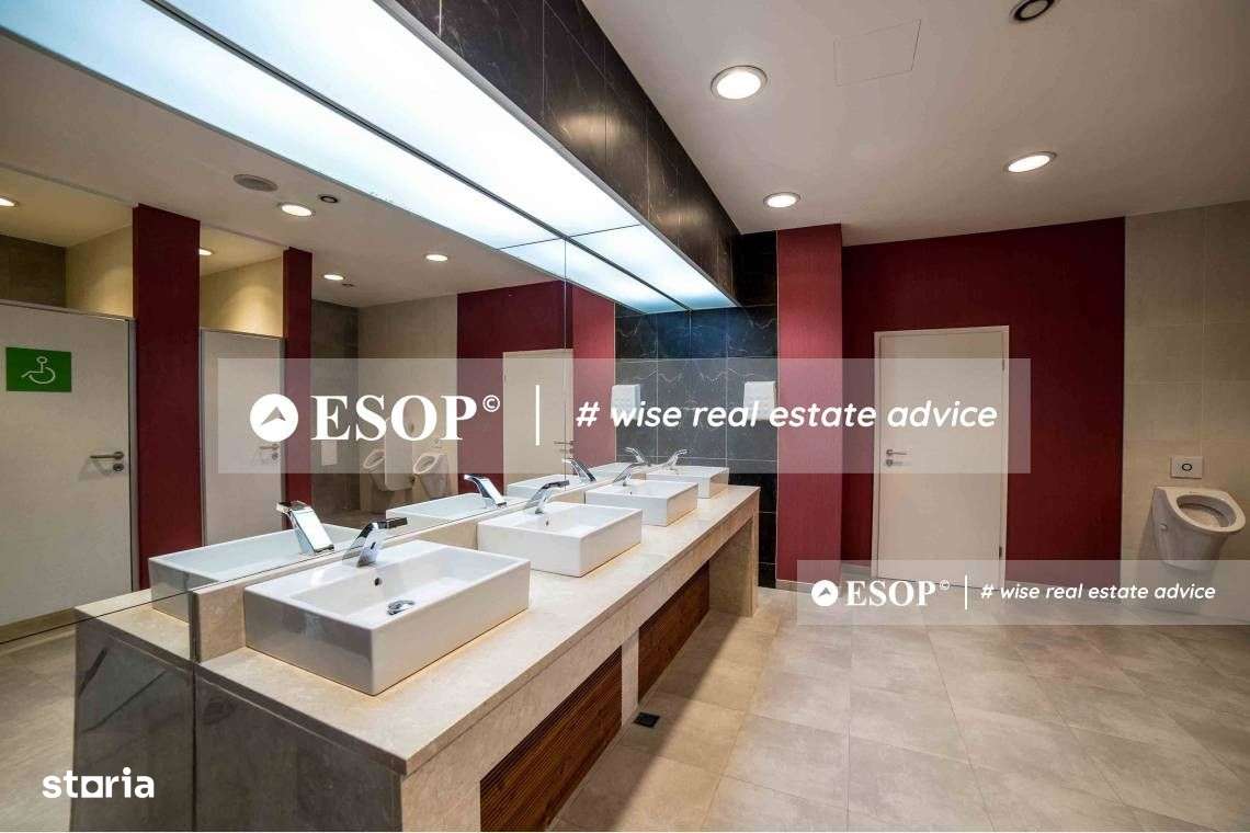 ISHO Offices, birouri de inchiriat, 537 - 17.000 mp, Timisoara - Imagine principală: 4/9