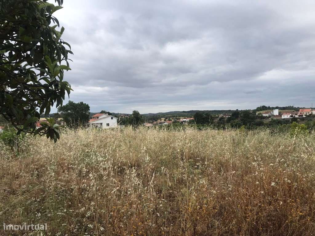 Quinta com casinha na Chancelaria, Torres Novas-18