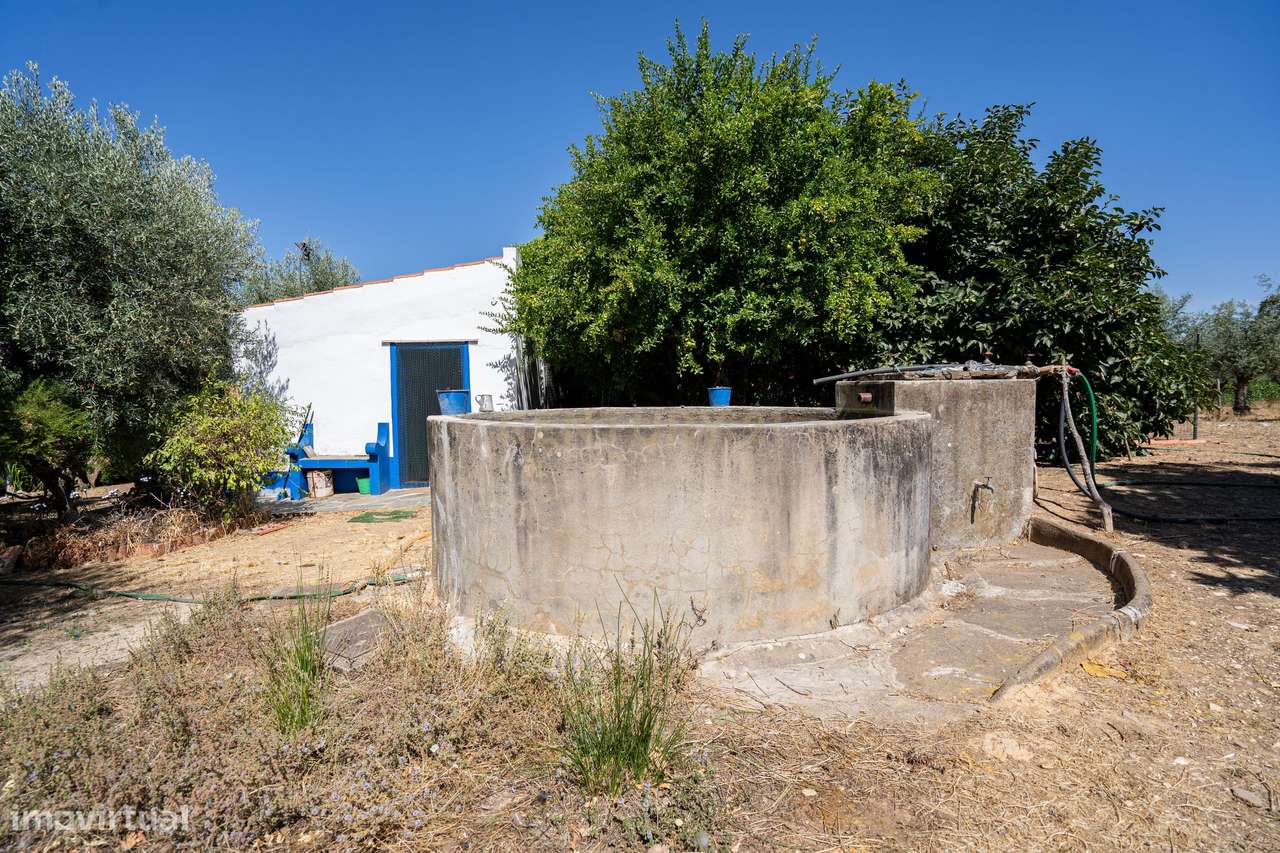 Quinta T3+3  com 4 HA em Borba – Natureza, Produção Agrícola e Confort - Grande imagem: 5/39