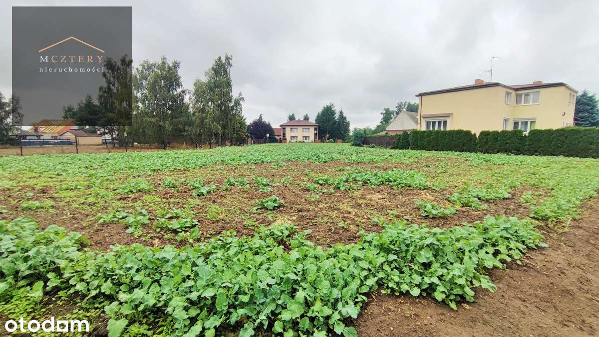 Działka Budowlana Niedaleko Lasu. 54.89Zł/M2 - Pełny obrazek: 5/5