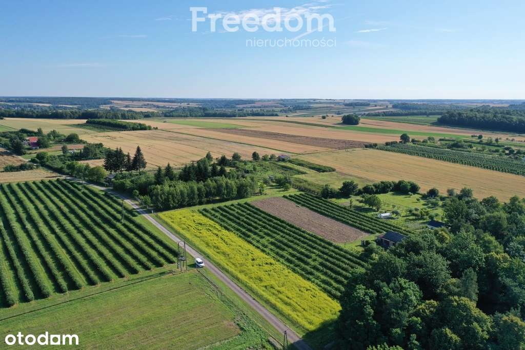 Działka siedliskowa - Pełny obrazek: 4/6