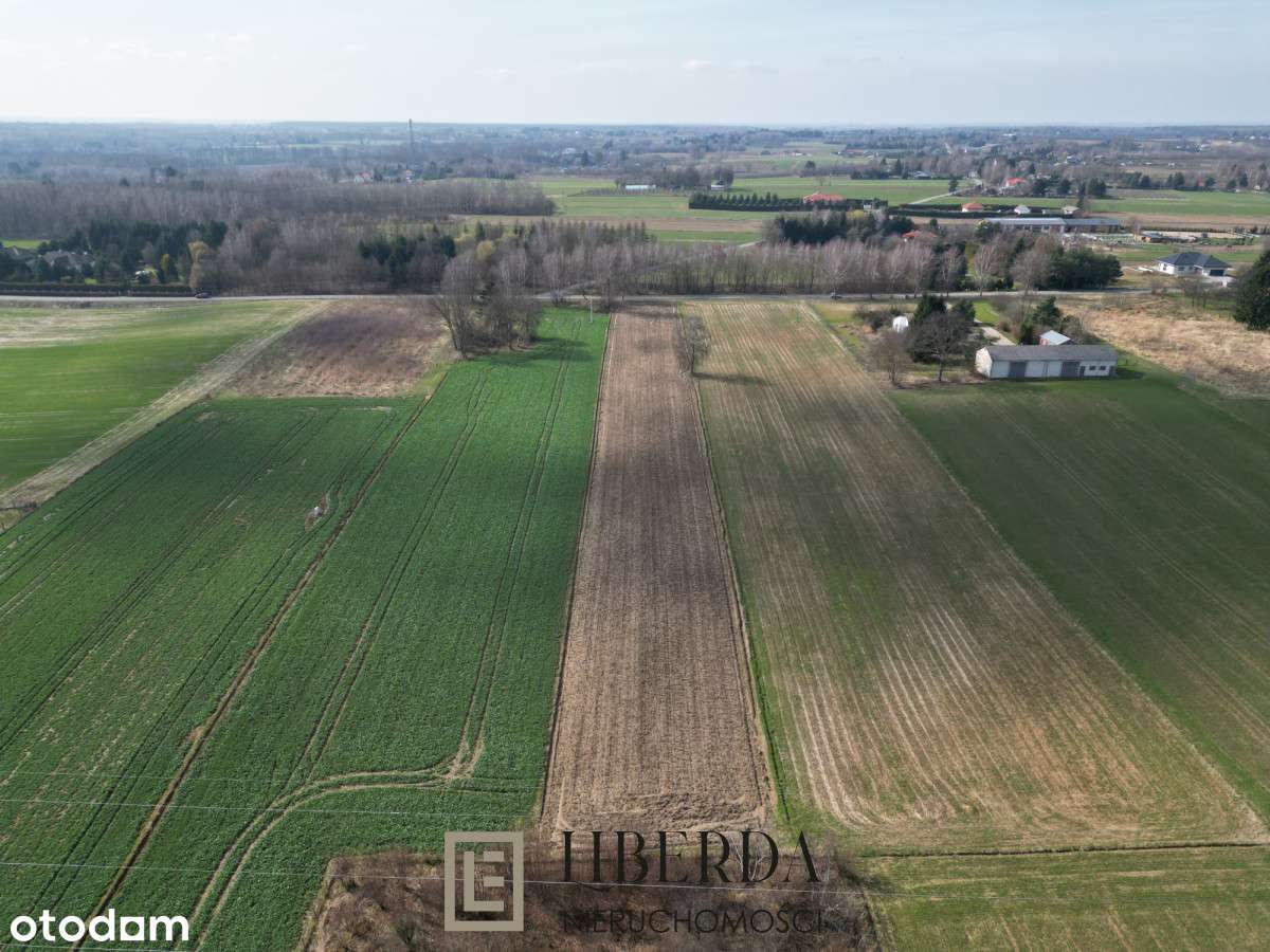 Działka Motycz Józefin - 5700 m2 - Pełny obrazek: 4/5