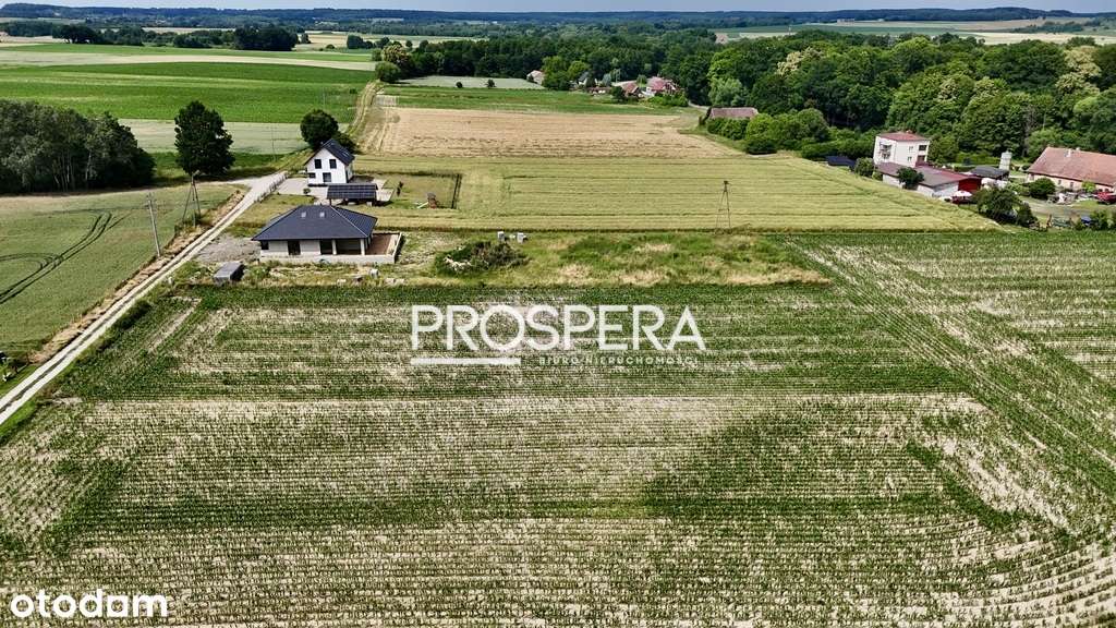 Działka rolna z możliwością zabudowy! - Pełny obrazek: 4/6