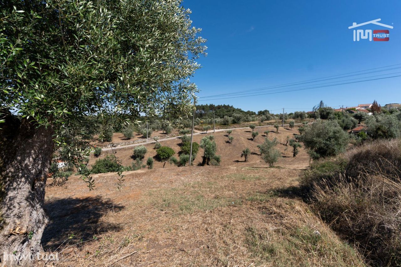 TERRENO URBANO COM AREA 5020 M2 EM FONTAINHAS DA SERRA - ATOUGUIA